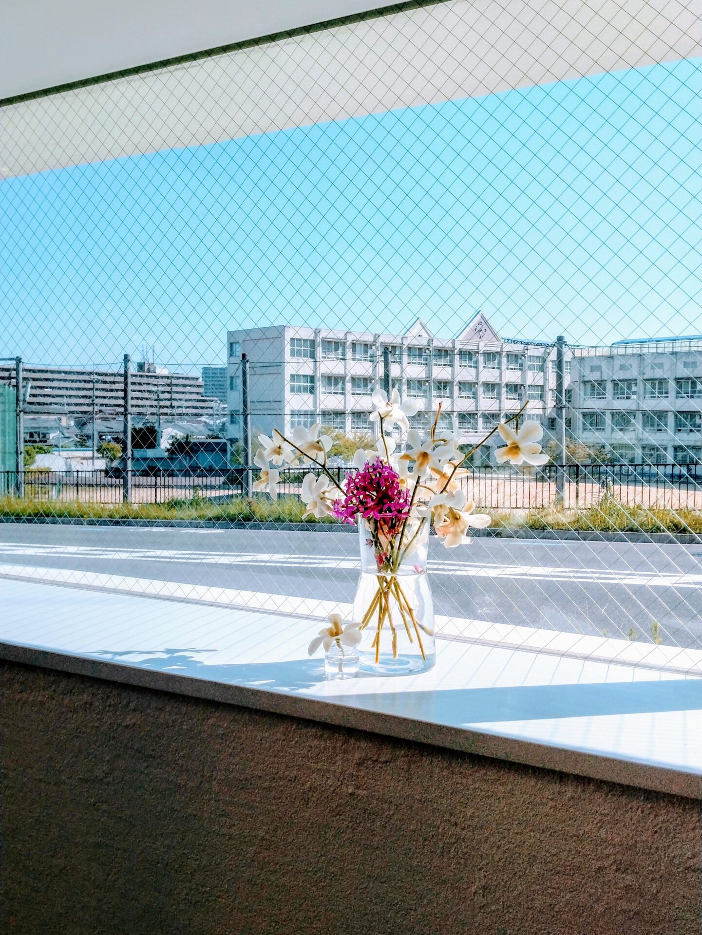 歯科医院の待合室に飾られた花と窓からみえる上野芝小学校
