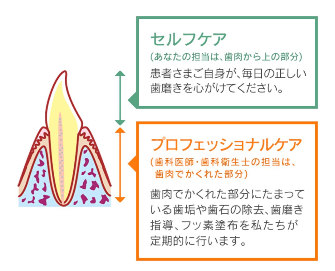 セルフケアとプロフェッショナルケア