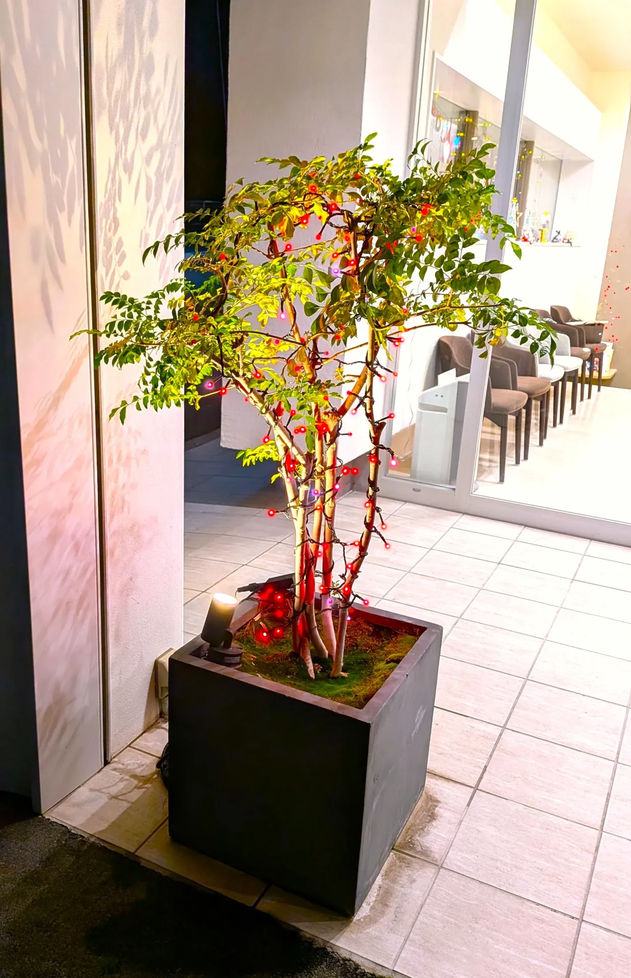 歯科医院のイルミネーション