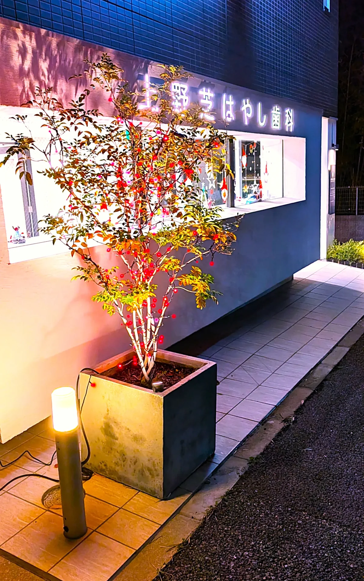 歯科医院のイルミネーション