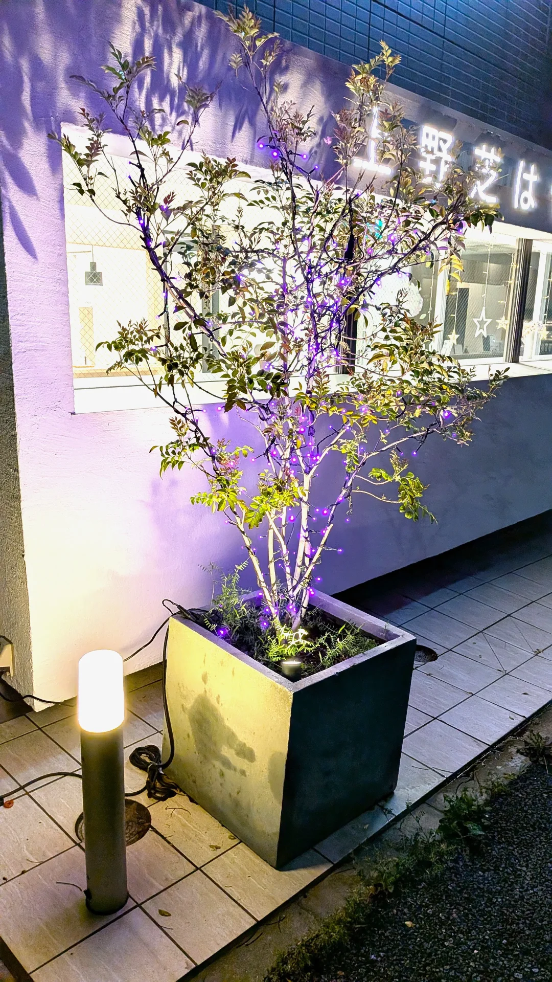 植栽