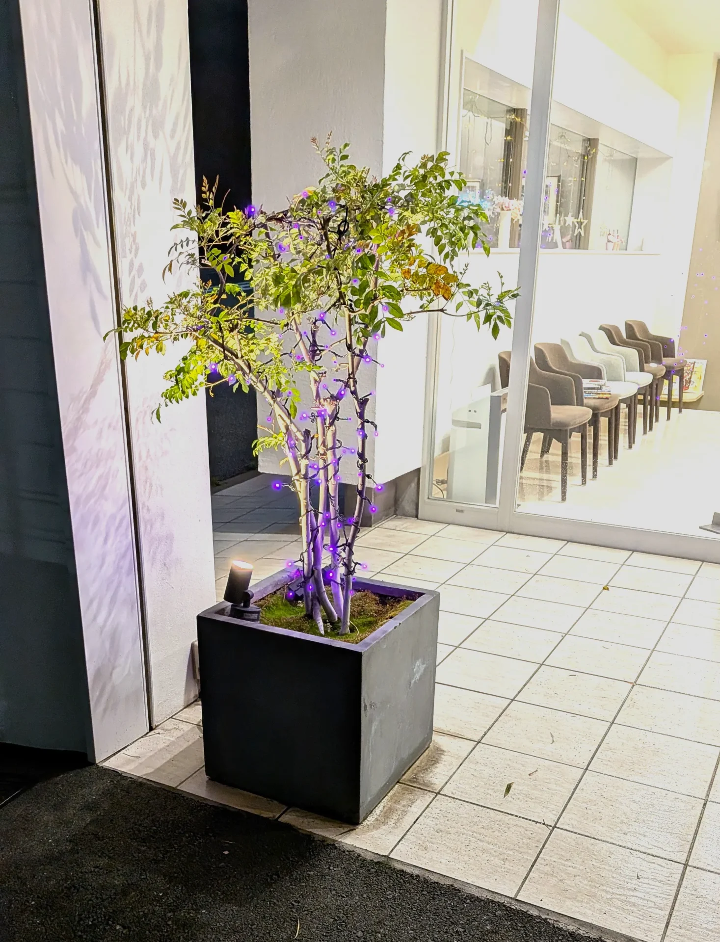 植栽