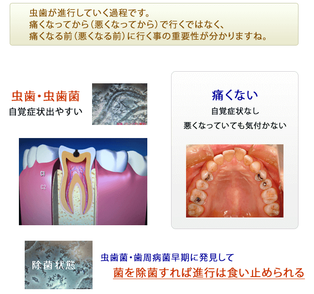 上野芝はやし歯科 堺市西区 歯医者｜診療案内